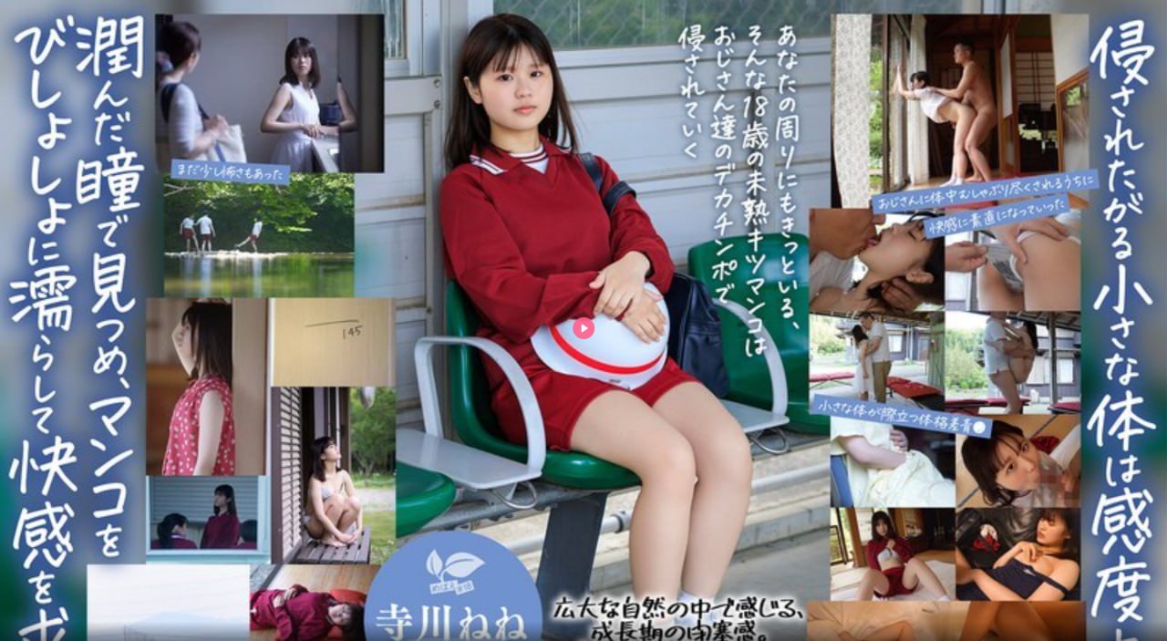 《巨龙征服美女明星》在线播放观看_国语英语双字版...